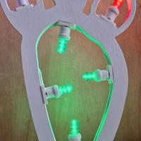 Luminarie a forma di fico d'india