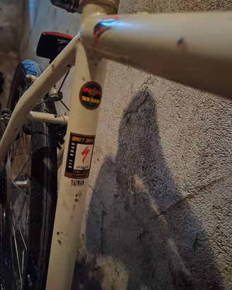 Specialized Stumpjumper – Mountain Bike Vintage an