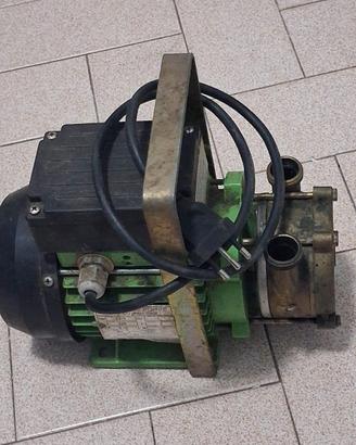 POMPE AUTOADESCANTE TELLARINI EEM 20