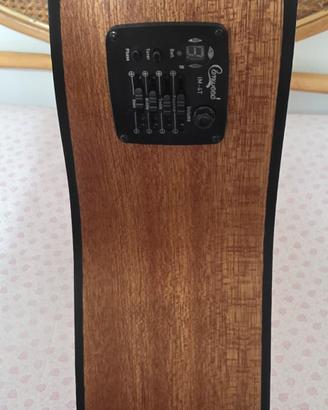 chitarra acustica 