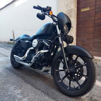 Harley-Davidson Sportster 883 - 2017