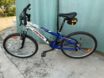 Bicicletta