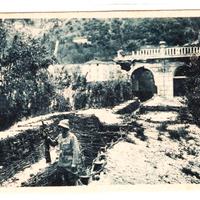 Cartoline trentino Riva Piazza Carducci trincea