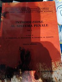 INTRODUZIONE AL SISTEMA PENALE Vol I