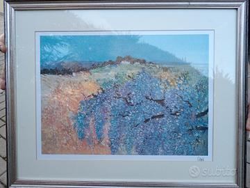 quadro litografia di Piero Cicoli glicine