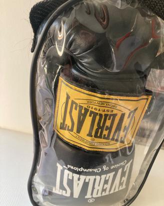 Guanti da Boxe Everlast