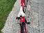 Immagine 4
