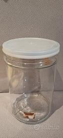 Vaso contenitore cilindrico in vetro trasparente 