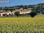 Immagine 14