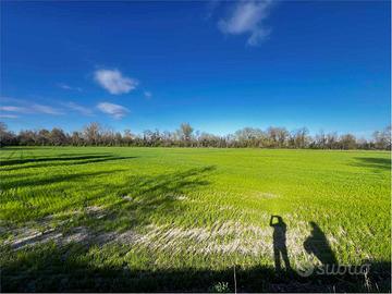 Cassano D'Adda - Porzione di Isola Privata
