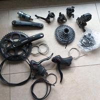 Gruppo Shimano tourney