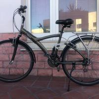 Bici bitwin