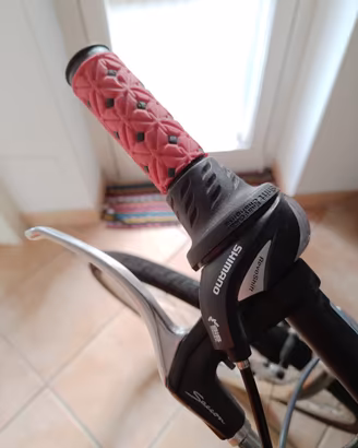 Bicicletta GANNA Action Street v7