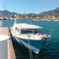 Barca a motore - natante Amerglass 32