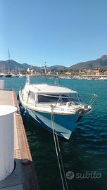 Barca a motore - natante Amerglass 32