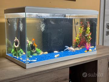 Acquario da 60L model Slim
