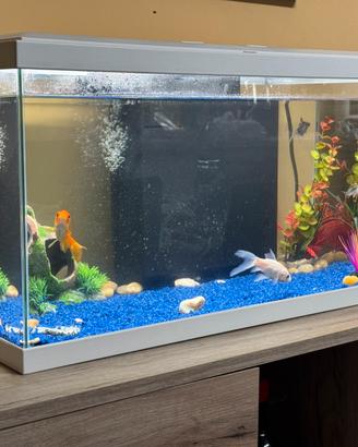 Acquario da 60L model Slim