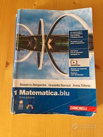 1 matematica blu/ zanichelli/ bergamini/ barozzi /
