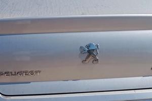 Fanali posteriori Peugeot 407 Berlina