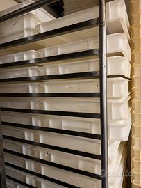 Cassette Pizza - Vaschette impasto - Contenitore