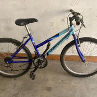 Bicicletta montain bile modello “Jumper Trek”