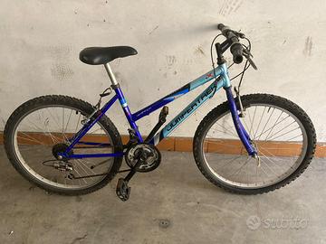 Bicicletta montain bile modello “Jumper Trek”