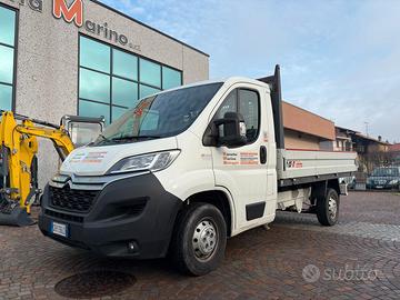 Cassonato fisso Citreon