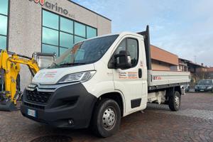 Cassonato fisso Citreon