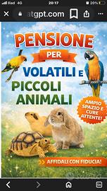 Pensione per animali