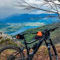 Bici elettrica mtb