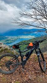 Bici elettrica mtb