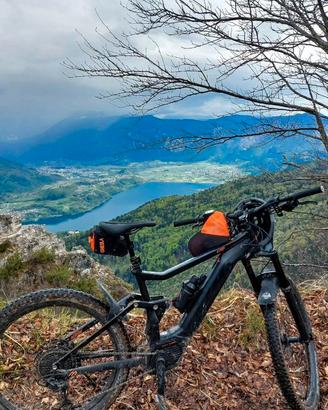 Bici elettrica mtb