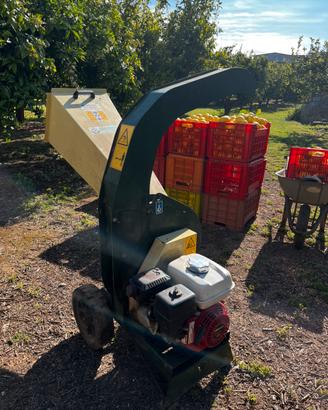 Biotrituratore Negri R95 - Honda GX 160