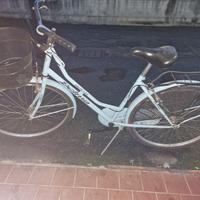 bicicletta olandese 