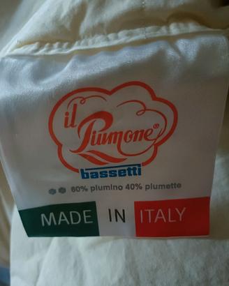 PIUMONE BASSETTI 