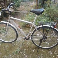 Bici uomo usata