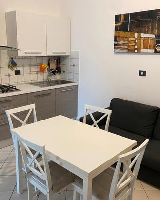 Monolocale Zona Politecnico