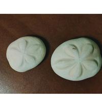 Conchiglia RICCIO DI SABBIA Seabiscuit 2 esemplari