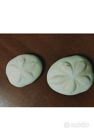 Conchiglia RICCIO DI SABBIA Seabiscuit 2 esemplari