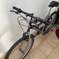 Bicicletta mountain bike
