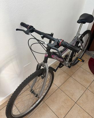 Bicicletta mountain bike
