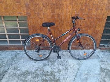 bici Mountain bike 