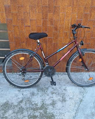 bici Mountain bike 
