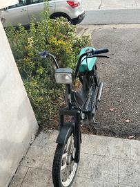 atala idea 
