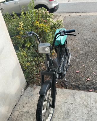 atala idea 