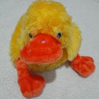 peluche Papero sdraiato cm40 