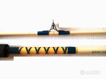 Canna da pesca DAIWA