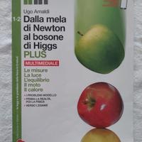 Dalla mela di Newton al bosone di Higgs (Biennio)