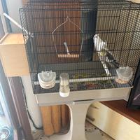 Gabbia completa di calopsite