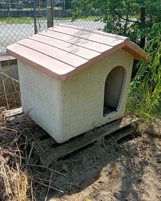 Cuccia x cani taglia grande 